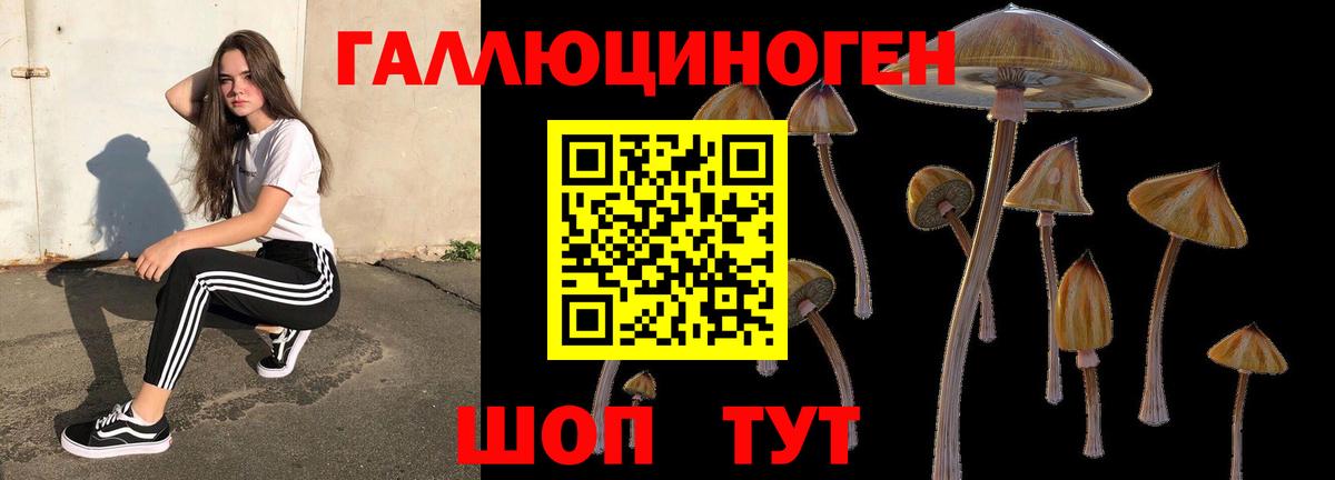 Псилоцибиновые грибы MAGIC MUSHROOMS  Вход с VPN  Галлюциногенные грибы GOLDEN TEACHER  Выборг 